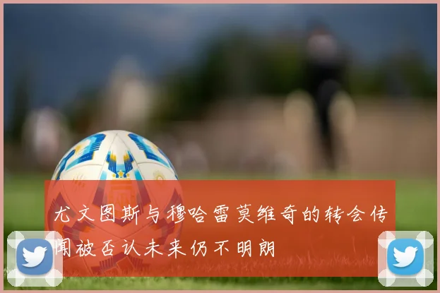尤文图斯与穆哈雷莫维奇的转会传闻被否认未来仍不明朗